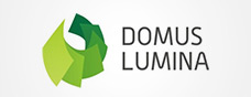 B2B sistemų kūrimas - Domus Lumina